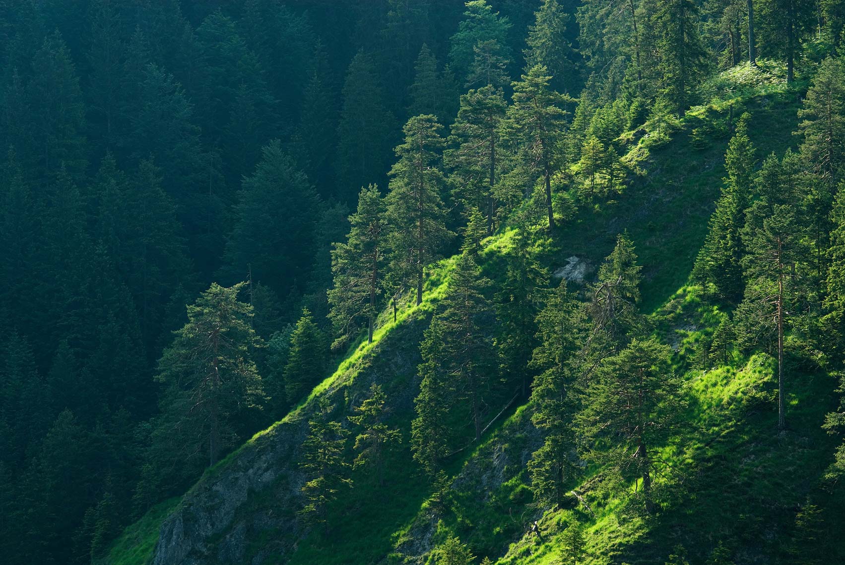 Steiermark-002, Hochschwab